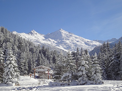 Selling your property with Agence Saulire - Meribel Mottaret - Natural Reserve Mont Vallon